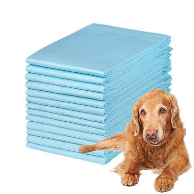 600X350 600X450 600X600 900X600 almofadas urinárias para o treino de mijo de cachorro