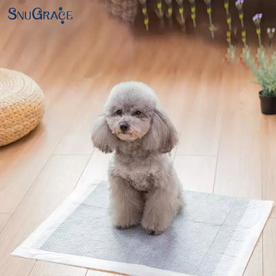 SnuGrace Pet Urine Pads de tamanhos XS-XXXL Pulpa de Fluff SAP Tecido de tecido não tecido PE