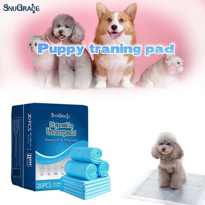 SnuGrace Pet Pissing Mat High Absorção Treinamento para Todos os Animais de estimação Design Especial Impresso