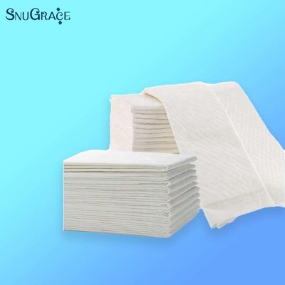 SnuGrace Pet Pissing Mat High Absorção Treinamento para Todos os Animais de estimação Design Especial Impresso