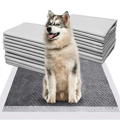 CE ISO Certificado Blue SnuGrace Dog Pee Mat Rápido absorção e durável Pet Training Mat