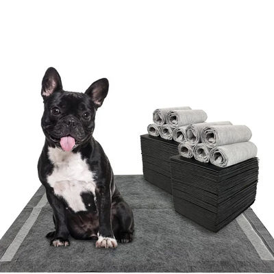 CE ISO Certificado Blue SnuGrace Dog Pee Mat Rápido absorção e durável Pet Training Mat