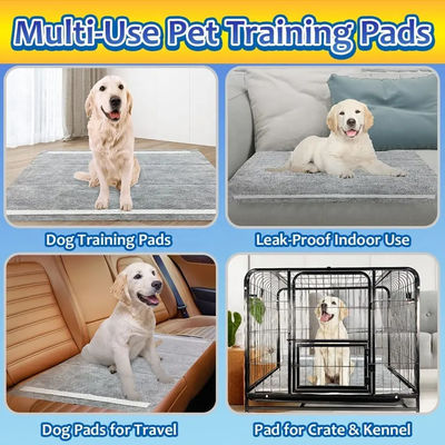 CE ISO Certificado Blue SnuGrace Dog Pee Mat Rápido absorção e durável Pet Training Mat
