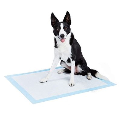 Pedaço de algodão descartável personalizado para treino de casa de animais Wee Wee Pad em cor