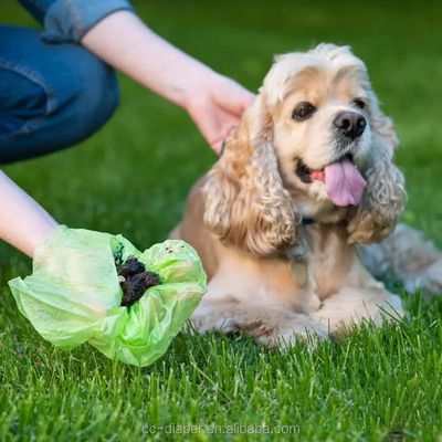 Saco biodegradável de cocô de cão em cor personalizada feito de material para eliminação de resíduos de animais de estimação
