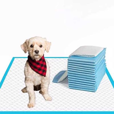 20g-120g Core Dog Pet Training Pads Fraldas Carvão Pet Pads para cães Fraldas de treinamento