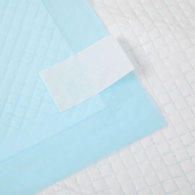BV Certified Dog Sleeping Pad for Dry Surface Absorbency e certificação ISO9001
