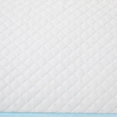 BV Certified Dog Sleeping Pad for Dry Surface Absorbency e certificação ISO9001