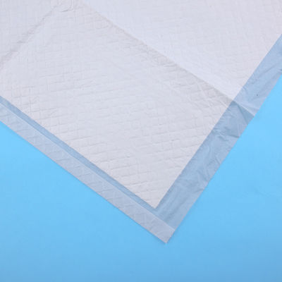 BV Certified Dog Sleeping Pad for Dry Surface Absorbency e certificação ISO9001