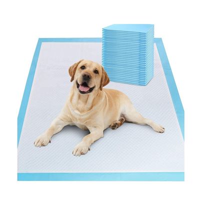 Amostragens gratuitamente oferecidas OEM/ODM Toalhete para animais de estimação almofadas de mijo para treinamento e sono de cachorros