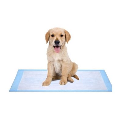 Amostragens gratuitamente oferecidas OEM/ODM Toalhete para animais de estimação almofadas de mijo para treinamento e sono de cachorros