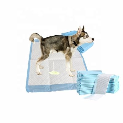 Amostragens gratuitamente oferecidas OEM/ODM Toalhete para animais de estimação almofadas de mijo para treinamento e sono de cachorros