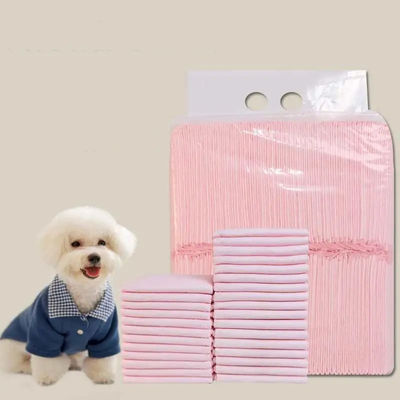 Biodegradável Cão Cachorro Extra Grande Cachorro Cã Cachorro de Treinamento