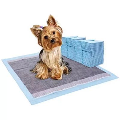 Biodegradável Cão Cachorro Extra Grande Cachorro Cã Cachorro de Treinamento