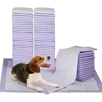 Amostragem gratuita de almofadas descartáveis de urina para animais com adesivos de posicionamento em quatro cantos
