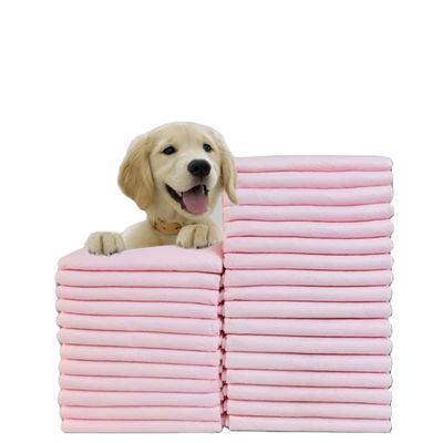 S.M.L.XL.XXL Balsas sanitárias para animais de estimação para OEM/ODM Balsas urinárias descartáveis personalizadas