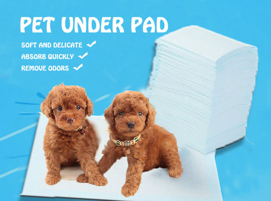 S.M.L.XL.XXL Balsas sanitárias para animais de estimação para OEM/ODM Balsas urinárias descartáveis personalizadas