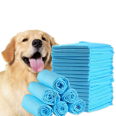 Produtos de treino para animais de estimação azul/branco/verde/preto/cinzento