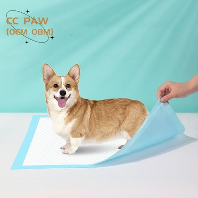 Pad de treino biodegradável ecológico para cães, gatos e animais de estimação em tamanhos XS-XXXL
