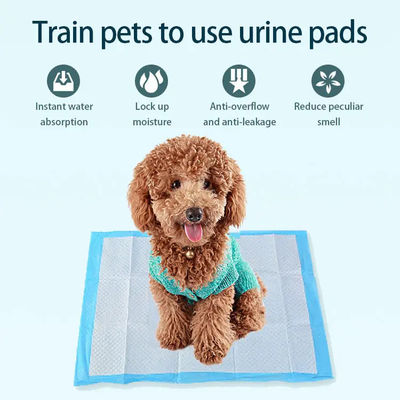 Pulpa de pelúcia SAP Tecido não tecido Tissue PE Waterproof Pet Mat Diaper for Puppy Training
