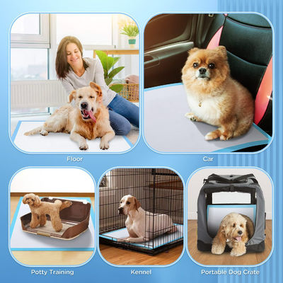 Pulpa de pelúcia SAP Tecido não tecido Tissue PE Waterproof Pet Mat Diaper for Puppy Training