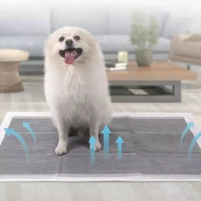 Cachorrinho de treinamento de animais de estimação Toilet Piss Pads com Sandia ou Sumitomo SAP e cor personalizada