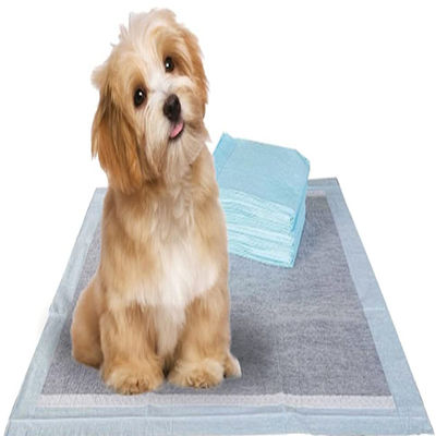 Cachorrinho de treinamento de animais de estimação Toilet Piss Pads com Sandia ou Sumitomo SAP e cor personalizada