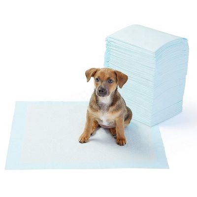 Pad higiênico para cães de cor personalizada Pad higiênico descartável para cães