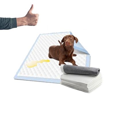 Pad higiênico para cães de cor personalizada Pad higiênico descartável para cães