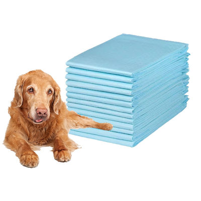 Dimensões personalizadas Amostra grátis almofadas descartáveis de treinamento para cães