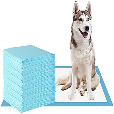 60*45/60*60/60*90cm Desodorizante SAP Pet Pee Pad para Treinamento de Urina de Vaina S M L XL XXL