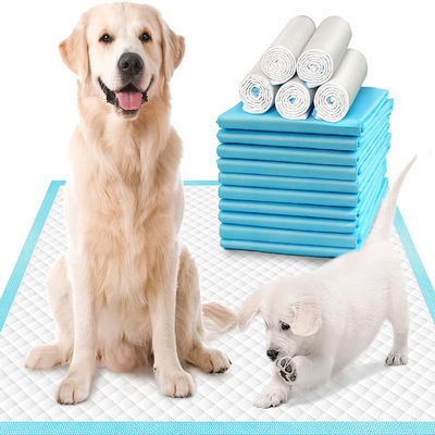 60*45/60*60/60*90cm Desodorizante SAP Pet Pee Pad para Treinamento de Urina de Vaina S M L XL XXL