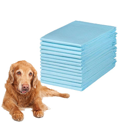 600X600mm Pad de urina descartável para cães com alta absorção