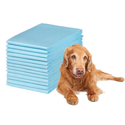 Ampolas de treino de urina para animais de estimação Fraldas ultra-absorventes para treino eficaz de incontinência