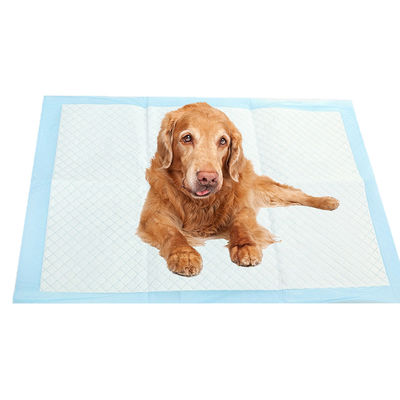 Pads de treino de urina de cães de estimação extra grandes para filhotes Azul Certificado ISO CE