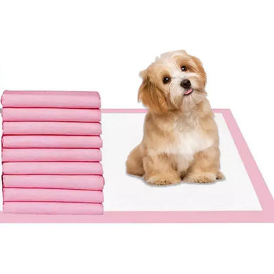 Amostragem gratuita oferecida Tecido de bambu Carvão de madeira Pet Doggy Training Pad
