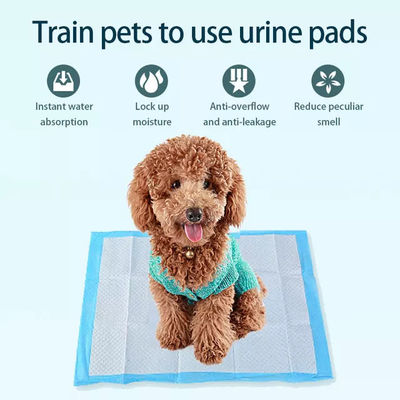 45x60cm Pet Pee Pad 5 camadas absorvente de cães e filhotes Pad de treinamento adequado para todos os animais de estimação