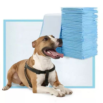 45x60cm Pet Pee Pad 5 camadas absorvente de cães e filhotes Pad de treinamento adequado para todos os animais de estimação