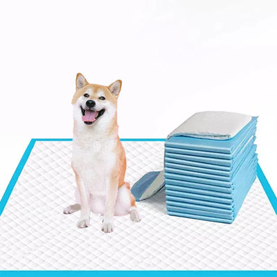 Pad de treino de animais de estimação descartável de 5 camadas azul para cães pequenos/médios/grande Super absorvente