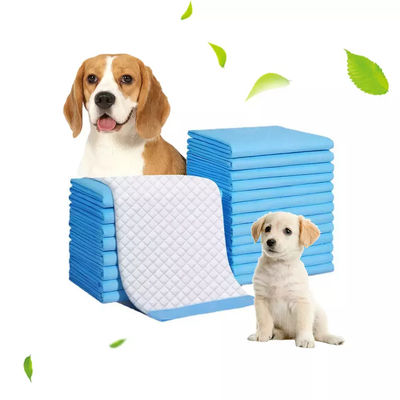 72 Copas de Sucção Forte Pet Pad 60x90cm absorvente Pad para Cão/Gato/Conejo Treinamento