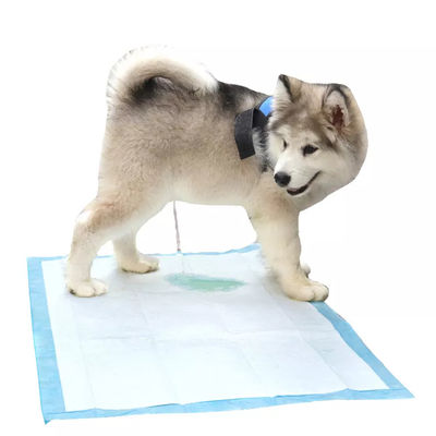 Pads de Treinamento de Pet Potty para Cães Pad urinário descartável para animais de estimação com absorção de superfície seca