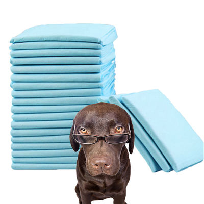 600X350 600X450 600X600 900X600 Pad de treino de animais de estimação à prova de vazamento com material sustentável