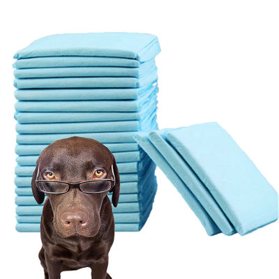Animais Pequenos Pad de Treinamento de Pet Super Absorvente de Cinco Camadas para Urina Pee Mat Cão Gato