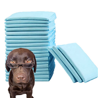 Limpeza de animais de estimação Pad de urina descartável de treinamento de filhotes com alta absorvência com certificado CE ISO