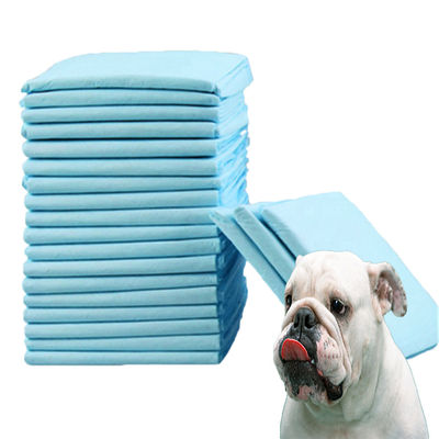 Brinquedo para cães e animais de estimação respirável e absorvente OEM/ODM Aceito com etiqueta personalizada