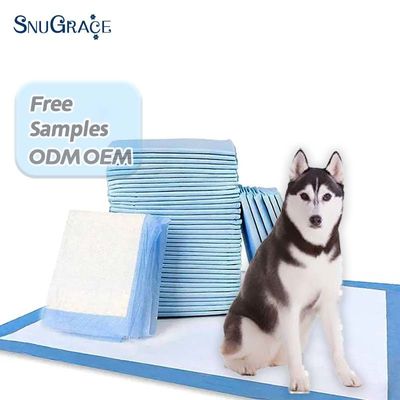 OEM/ODM Pads de urina personalizados para cães 600X350mm 600X450mm 600X600mm 900X600mm
