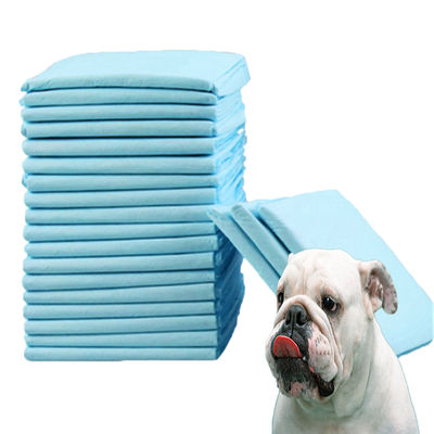 Animais Pequenos Pad de Treinamento de Animais para Absorção de Urina e Treinamento de Agilidade