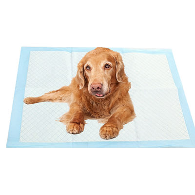 Cão de estimação Pad de urina Pequenos animais comprimento X largura mm 600X350 600X450 600X600 900X600