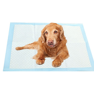 Serviço OEM apoiado Cachorro Cachorro Treinamento Pet Toilet Pee Pads com Fibra e Tipo de Item