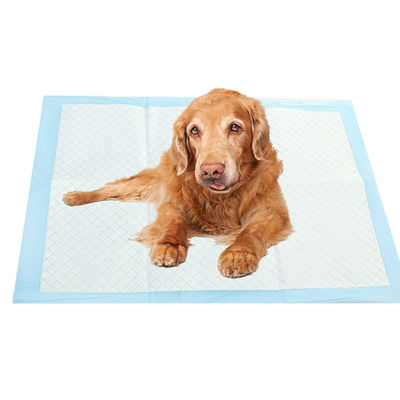 Pet Wee Pads Ultra Absorvente Brinquedos Mat para cães e gatos Urina Treinamento Incontinência